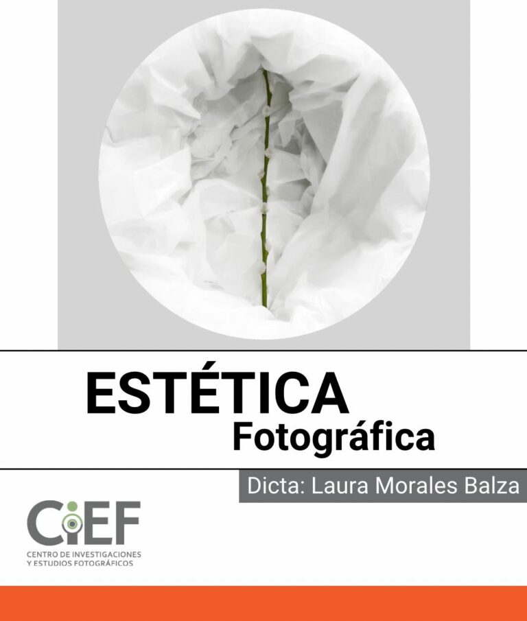 Estética fotográfica